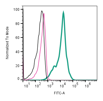 Cell surface detection of CD81 by indirect flow cytometry in BV-2- derived exosomes: