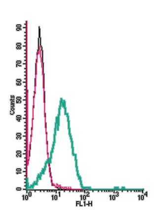 Cell surface detection of Orai1 by indirect flow cytometry in live intact human Jurkat T-cell leukemia cells: