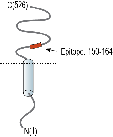 immunogen