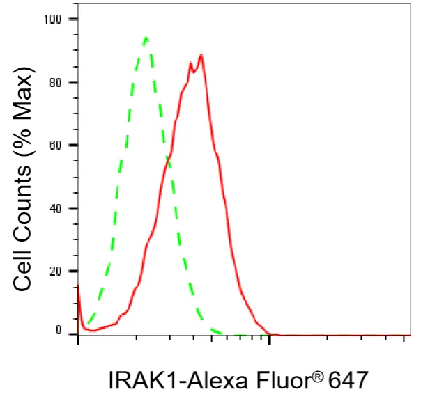 KVAb01562