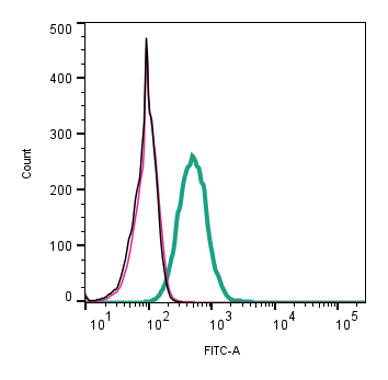 Cell surface detection of L1CAM by indirect flow cytometry in live intact human THP-1 monocytic leukemia cell line: