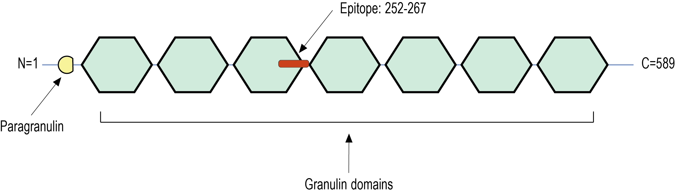 immunogen