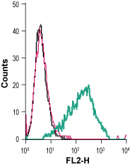 Cell surface detection of P2Y12 in live intact mouse BV-2 microglia cells: