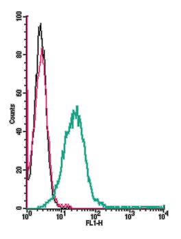 Cell surface detection of P2X3 Receptor by direct flow cytometry in live intact mouse P815 mastocytoma cells: