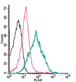 Cell surface detection of PAR4 by direct flow cytometry in live intact mouse P815 mast cells: