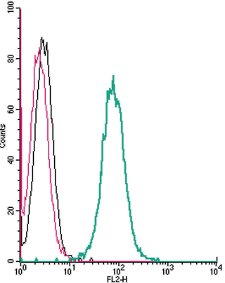 Cell surface detection of P2X4 Receptor by direct flow cytometry in live intact human THP-1 monocytic leukemia cells: