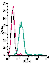 Cell surface detection of Adenosine A 2A Receptor by direct flow cytometry in live intact rat RBL-2H3 basophilic leukemia cells: