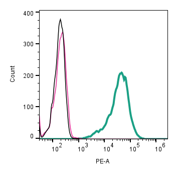 Cell surface detection of CD63 by direct flow cytometry in live intact mouse P815 mastocytoma cell line: