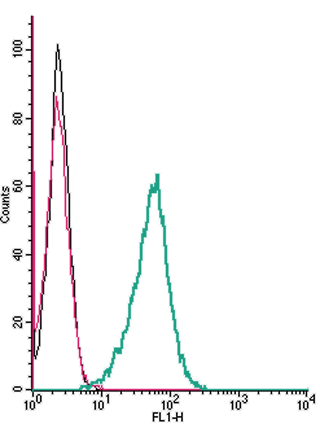 Cell surface detection of <span class="TextRun Highlight SCXW131154964 BCX8" lang="EN-US" xml:
