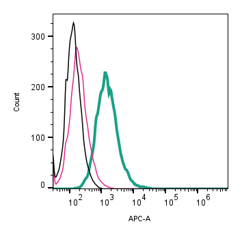 Cell surface detection of TREM2 by direct flow cytometry in live intact mouse J774 macrophage cells: