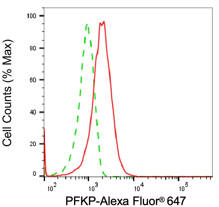 KVAb00663