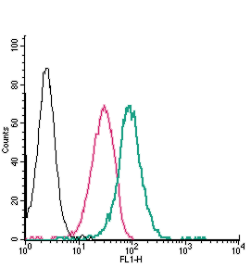 Cell surface detection of Neuropilin-1 by direct flow cytometry in live intact human THP-1 monocytic leukemia cells: