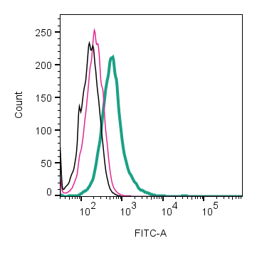 Cell surface detection of ASCT2 by direct flow cytometry in live intact human U-87 MG glioblastoma cell line:
