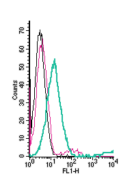 Cell surface detection of CD73 by direct flow cytometry in live intact human Jurkat T-cell leukemia cells: