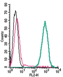 Cell surface detection of xCT/SLC7A11 in live intact mouse J774 macrophage cells: