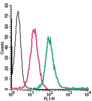 Cell surface detection of ADORA2A in live intact human THP-1 monocytic leukemia cells: