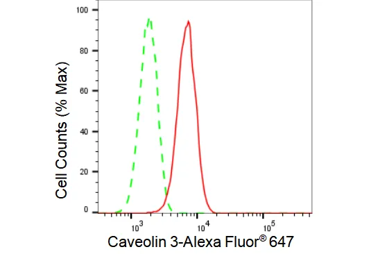 KVAb01635
