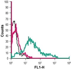 Cell surface detection of P2RY12 in live intact human MEG-01 megakaryoblastic leukemia cells: