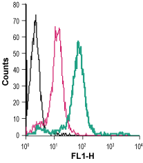 Cell surface detection of P2Y6 in live intact human THP-1 monocytic leukemia cells: