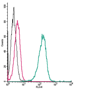 Cell surface detection of β 2 -Adrenergic Receptor by direct flow cytometry in live intact human THP-1 monocytic leukemia cells: