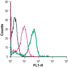 Cell surface detection of ADORA2b in live intact human THP-1 monocytic leukemia cells: