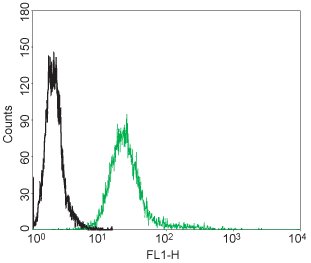 Cell surface detection of p75 NTR in live PC12 cells: