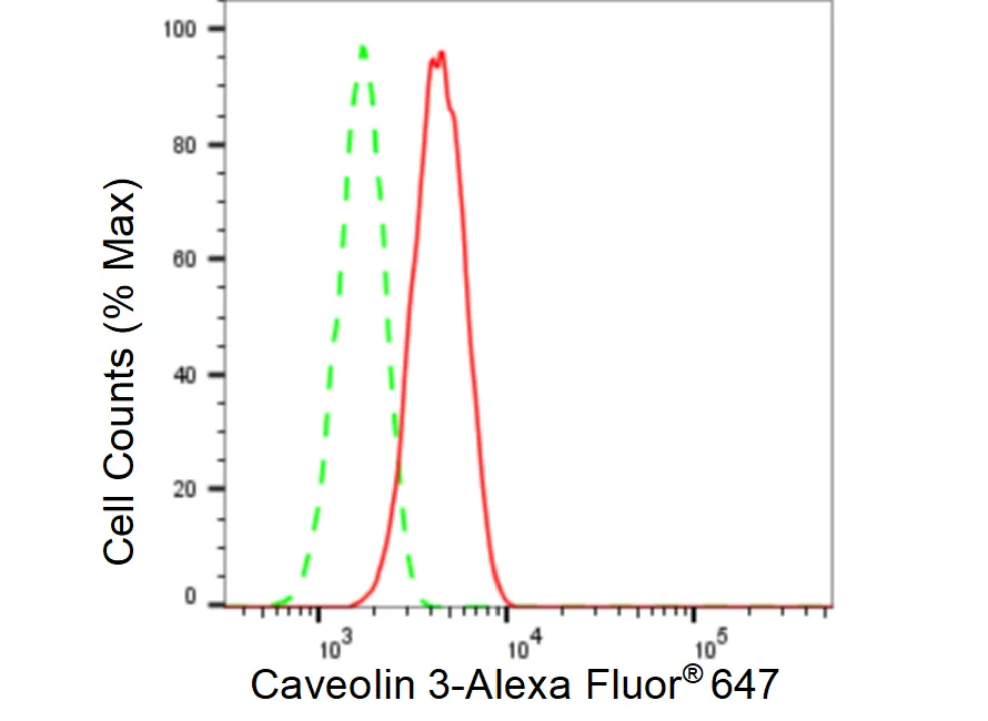 KVAb01555
