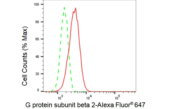 KVAb00667