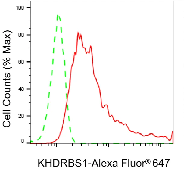 KVAb01301