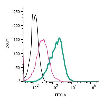 Cell surface detection of TRPV1 by direct flow cytometry in live intact mouse BV-2 microglia cell line:
