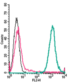 Cell surface detection of P2Y6 by direct flow cytometry in live intact mouse J774 macrophage cells:
