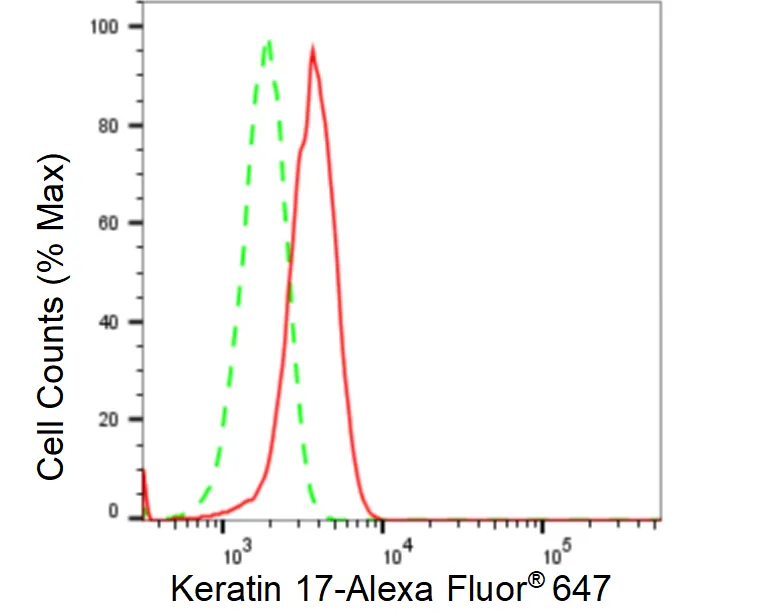 KVAb01031