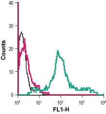 Cell surface detection of PAR-4 in live intact human MEG-01 megakaryoblastic leukemia cells: