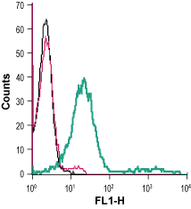 Cell surface detection of SERT in live intact mouse P815 mastocytoma cells: