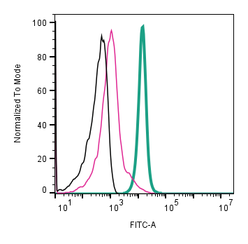 Cell surface detection of CD81 by indirect flow cytometry in BV-2- derived exosomes :