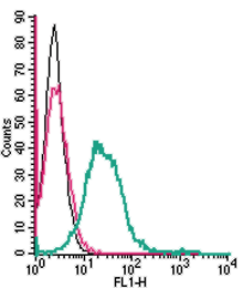 Cell surface detection of MERTK in live intact mouse BV-2 microglia cell line: