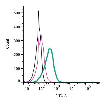 Cell surface detection of CD63 by direct flow cytometry in live intact mouse P815 mastocytoma cell line: