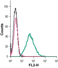 Cell surface detection of P2RX7 in live intact mouse BV-2 microglia cells: