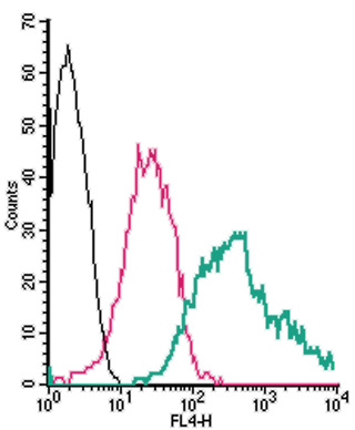 Cell surface detection of Adenosine A 2b Receptor by direct flow cytometry in live intact mouse J774 macrophage cells:
