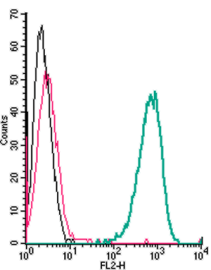 Cell surface detection of Adenosine A 2A Receptor by direct flow cytometry in live intact mouse J774 macrophage cells: