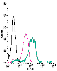 Cell surface detection of Nogo Receptor in live intact human THP-1 monocytic leukemia cells: