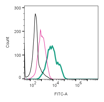 Cell surface detection of NHE-1 by direct flow cytometry in live intact human THP-1 monocytic leukemia cell line: