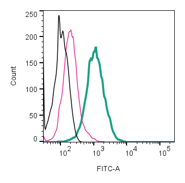 Cell surface detection of TRPV3 by direct flow cytometry in live intact mouse J774 macrophage cells: