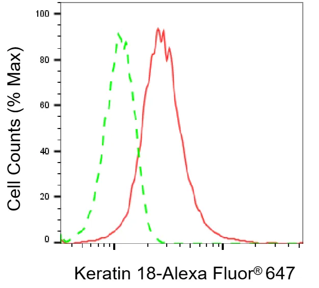 KVAb01548