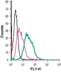 Cell surface detection of DAT in mouse J774 macrophages: