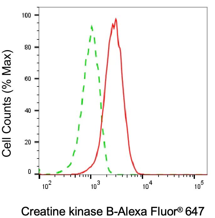 KVAb00612