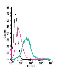 Cell surface detection of MERTK by direct flow cytometry in live intact human MEG-01 megakaryoblastic leukemia cells: