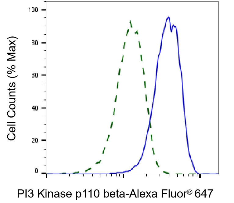 KVAb00547