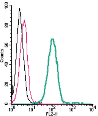 Cell surface detection of TREM2 by direct flow cytometry in live intact human THP-1 monocytic leukemia cells: