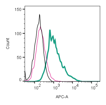 Cell surface detection of β 2 -Adrenergic Receptor by direct flow cytometry in live intact mouse J774 macrophage cell line: